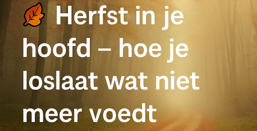 Rustgevende herfstafbeelding bij de blog ‘Herfst in je hoofd – hoe je loslaat wat niet meer voedt’ van coach en hypnotherapeut Guido van Dijck uit Soest.